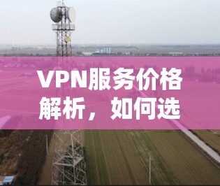 VPN服务价格解析,如何选择最适合你的月付套餐?