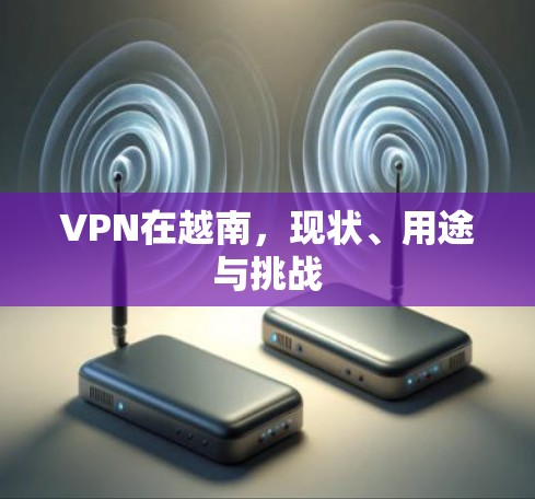 VPN在越南,现状、用途与挑战